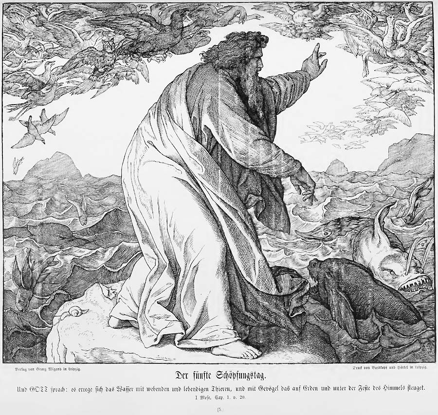 Der Schöpfer macht die lebensfeindliche Urflut zum lebenden und lebensspendenden Ozean. Darin zahllose große und kleine Fische, darüber ebenso unzählig viele verschiedenartige Vögel.
